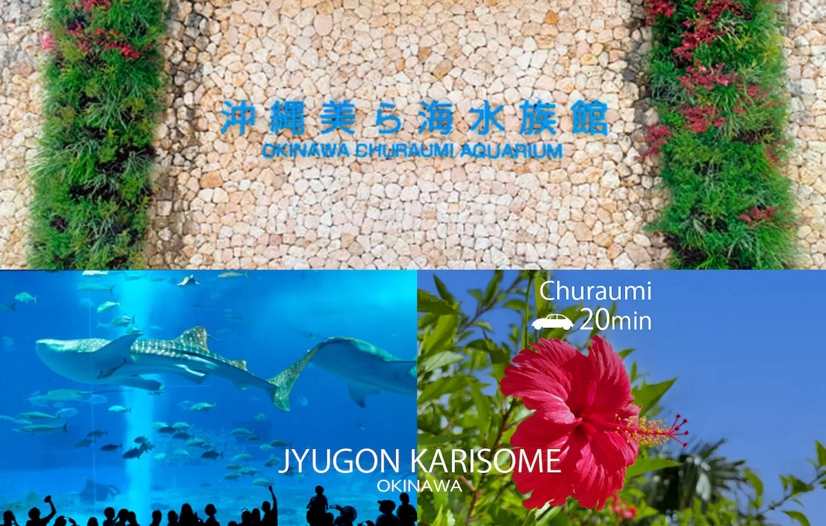 美ら海水族館